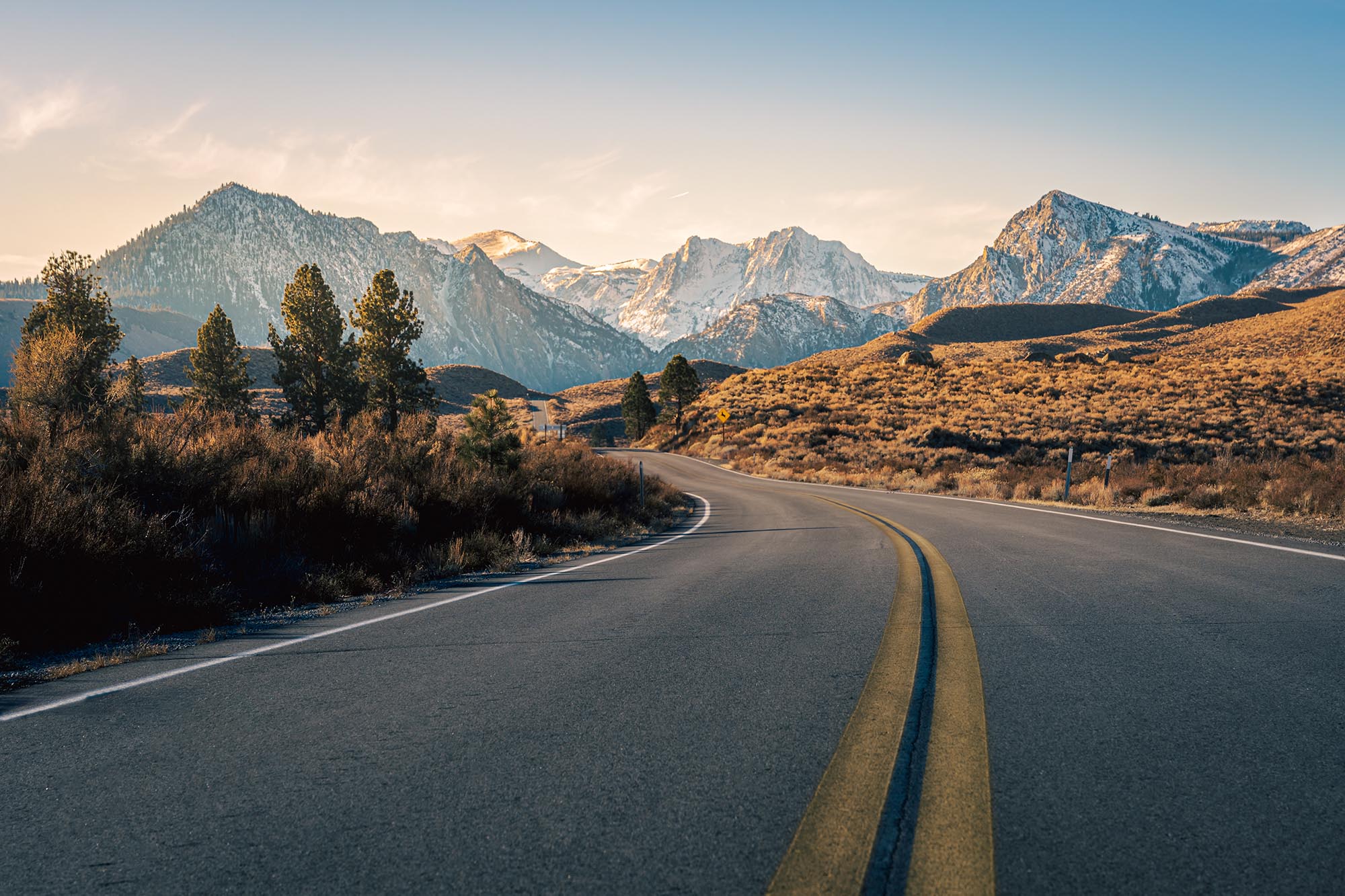 Dialectical Behavior Therapy (DBT)