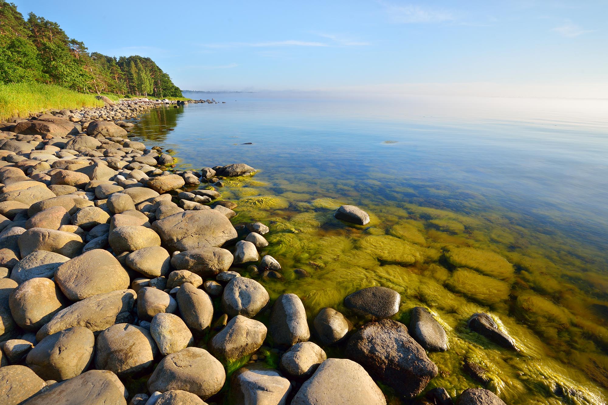 Attachment-Based Therapy